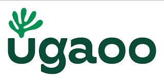 Indoor Plants – Upto 30% Off + Extra 20% Off On Wide Range Of Plants