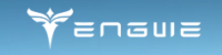 Engwe