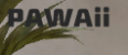 Pawaii