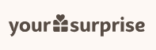 Your Surprise FR