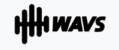 WAVS Custom