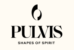 Pulvis Art Urns