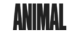Animal Pak